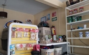 Veterinaria Animal Care & Healt