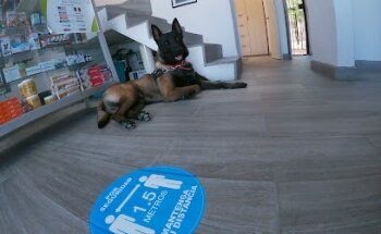 RealVet Clínica Veterinaria