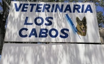 Veterinaria Los Cabos