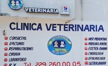 VETERINARIA BLUE HOLE