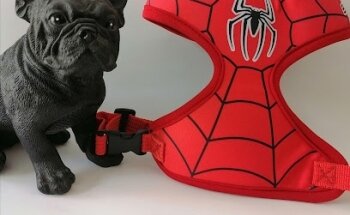 Veterinaria Infinite Lovet