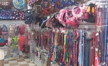 Dogfel Servicios Veterinarios