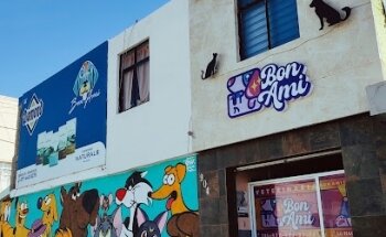Veterinaria Bon Ami