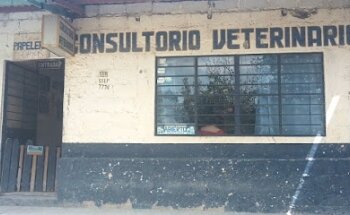 Servicio Veterinario Xicotepec
