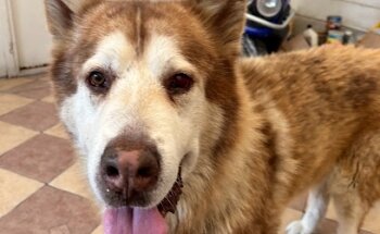 Zoo Clínica Veterinaria Pradera