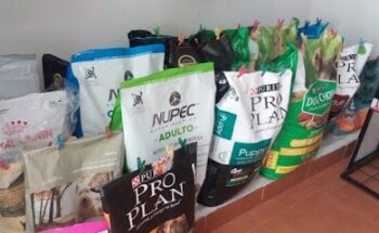 Veterinaria y estética canina 