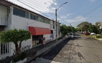 Veterinaria Sam - buho