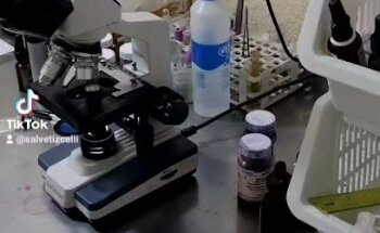 Clínica y Laboratorio Veterinario 