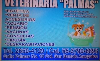 VETERINARIA PALMAS