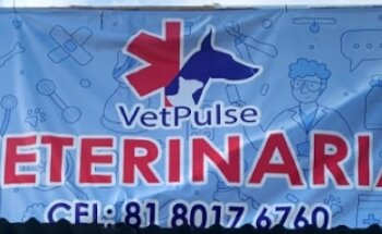 Clinica Veterinaria Vet Pulse