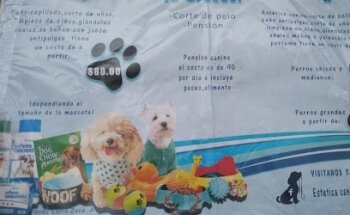 Estética Canina Doty