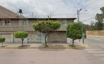 Veterinaria Estética Canina