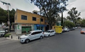 Servivet Consultorio Veterinario - Estética Canina