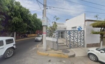 VETERINARIA SENTIDO ANIMAL