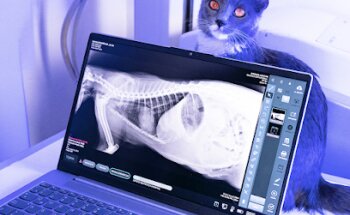 Scanvet Laboratorio Veterinario