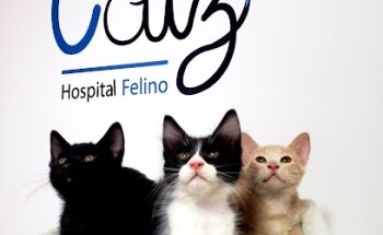CATZ Hospital Felino