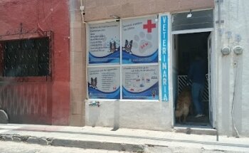 Hospital Veterinario Rob