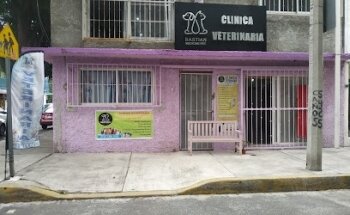 Veterinaria Bastian Medicine Pet