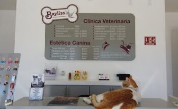 Bayliss Veterinaria 2