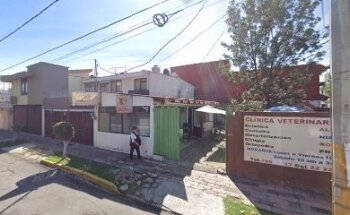 JOSE ABIGAIL DAZA MERITO