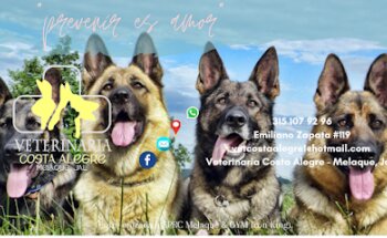 Veterinaria Costa Alegre. Melaque Jal.