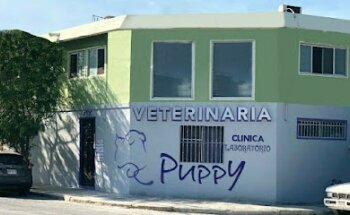 VETERINARIA PUPPY