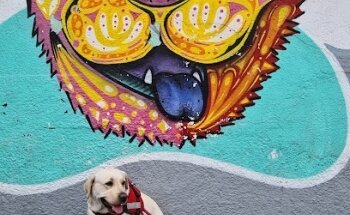 Veterinaria Mi Granjita