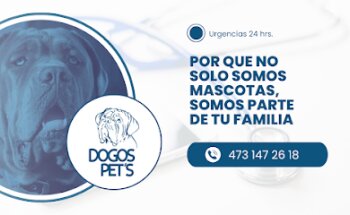 Dogos Pets - Clínica Veterinaria