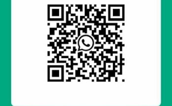 Clinica Veterinaria Nozomi ELITE