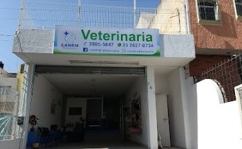 Canem clínica veterinaria