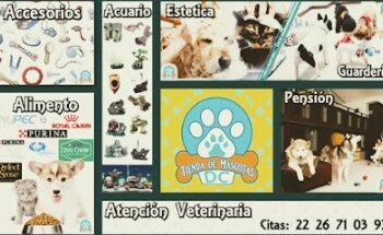 VETERINARIA Y TIENDA DE MASCOTAS DC