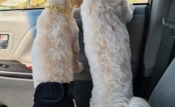 Veterinaria San Francisco