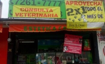 Itos&Otes Estétitca Canina