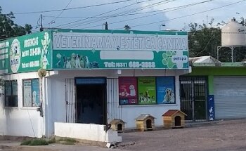 Veterinaria y Estética Canina petspa