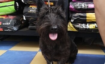 Clínica Veterinaria Amalu-Can