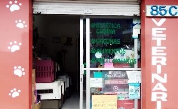 Veterinaria Vet for Pets