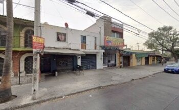 Estetica canina likepets