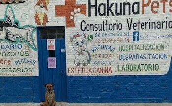 Veterinaria Hakuna pets