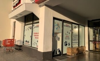 Clínica Veterinaria De todo para perros y gatos