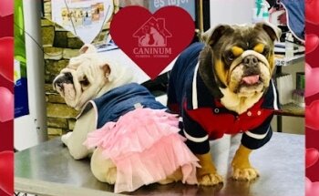 CANINUM PELUQUERIA - VETERINARIA