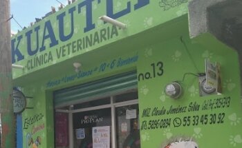 Kuautli Clínica Veterinaria