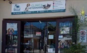 Welsh Clinica Veterinaria