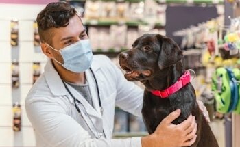 Veterinario Eric | Clínica Veterinaria en Tulancingo