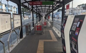 Servicios Profesionales en Salud Animal