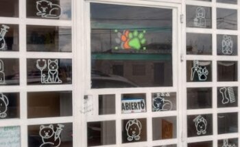 Veterinaria el Corazon de los animales