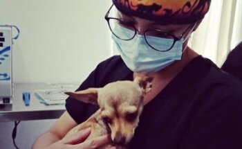 Dra. Aguilar - Servicio Médico Veterinario a Domicilio