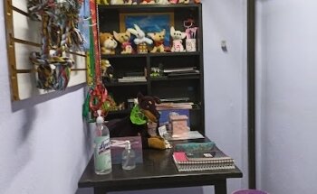 Veterinaria El Mundo del Chihuahua