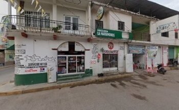 Servicios Veterinarios del Ganadero