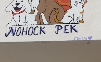 Clínica Veterinaria 