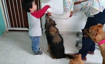 Clinica Veterinaria Allende Animal Care